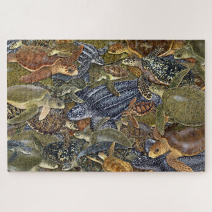 Puzzle de toutes les espèces de tortues marines