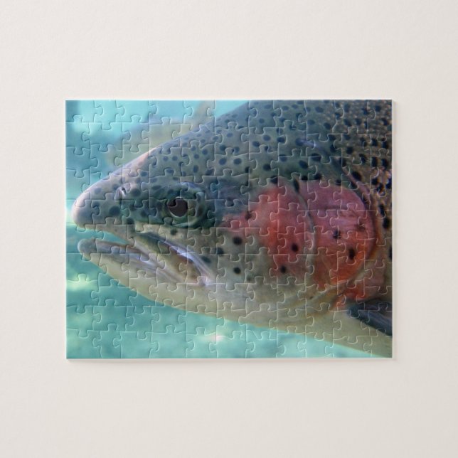 Puzzle de truite arc-en-ciel (Horizontal)
