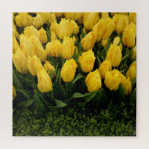 Puzzle de Tulipes Jaunes