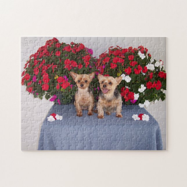 Puzzle de Yorkshire Terrier (Horizontal)