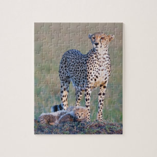 Puzzle Déconcertez 10x8 110 morceaux - guépard et petit