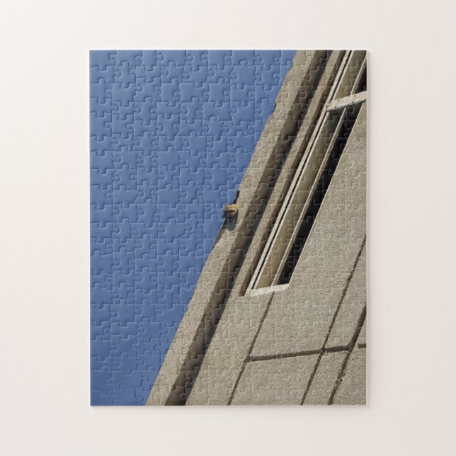 Puzzle d'écureuils (Vertical)