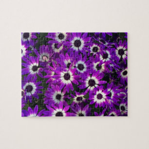 Puzzle Défi Fleur violette brillante photo florale