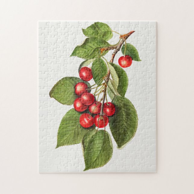 Puzzle Délicieux cerises rouges Fruit aquarelle peinture (Vertical)