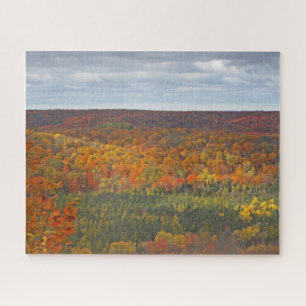 PUZZLE DENSE FORÊT D'ARBRES AUX COULEURS CHUTES