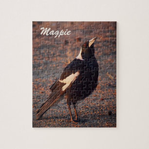 Puzzle denteux de pie