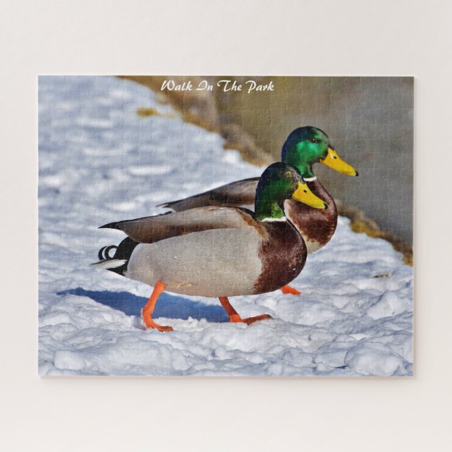 Puzzle Départs de Mallard Ducks (Horizontal)