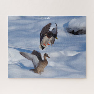 Puzzle Départs de Mallard Ducks