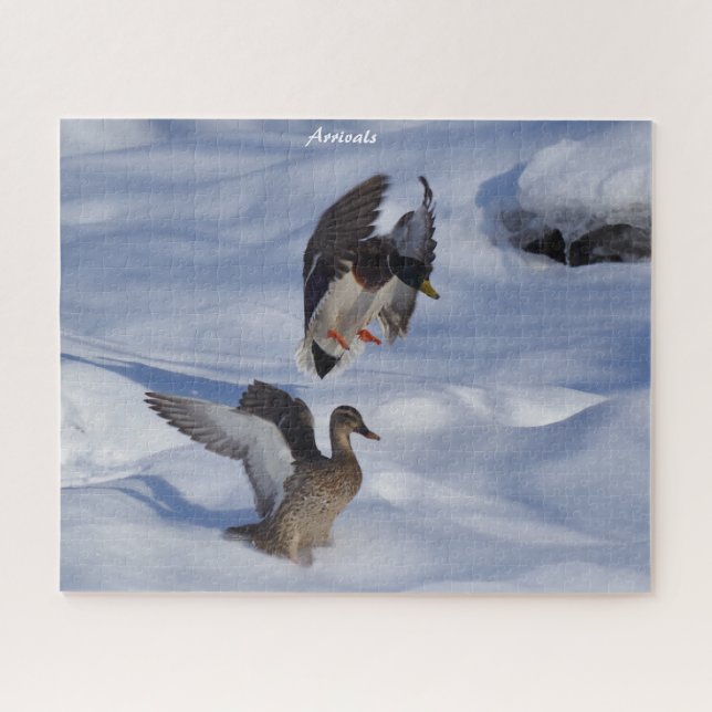 Puzzle Départs de Mallard Ducks (Horizontal)