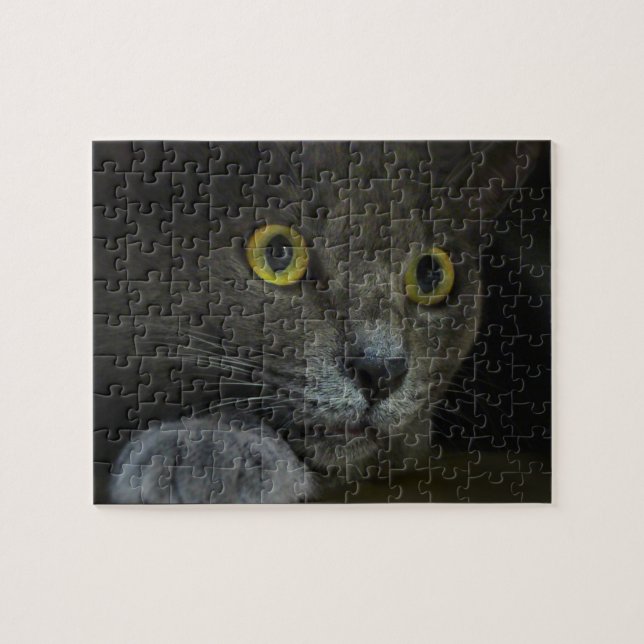 Puzzle der Intensität (Horizontal)