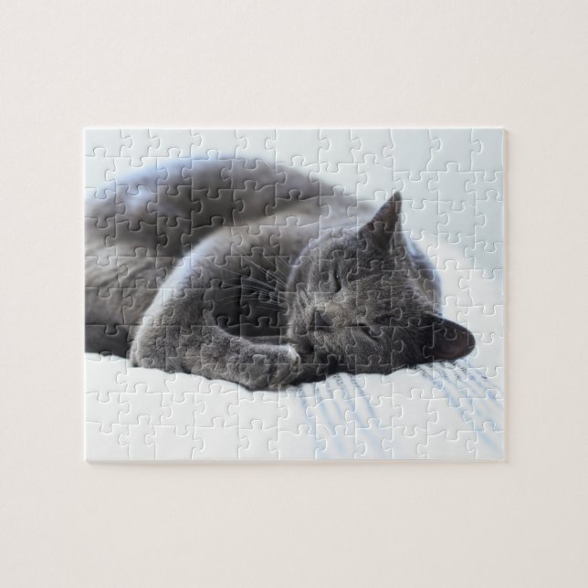 Puzzle der niedlichen grauen Katze (Horizontal)