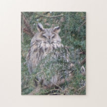 Puzzle der Wildtiere: Langhaarhuhn