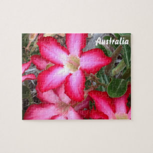 Puzzle der Wüste-Rose