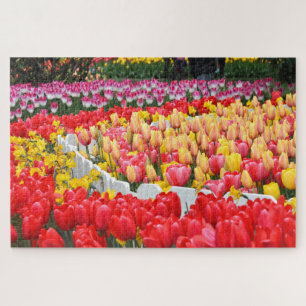 Puzzle Dérives de tulipes