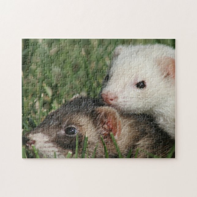 Puzzle Des amis furieux. Ferrets conviviaux Weasel (Horizontal)