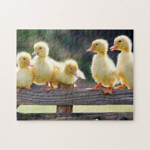 Puzzle des canalisations