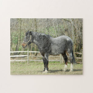 Puzzle des chevaux de ferme gris