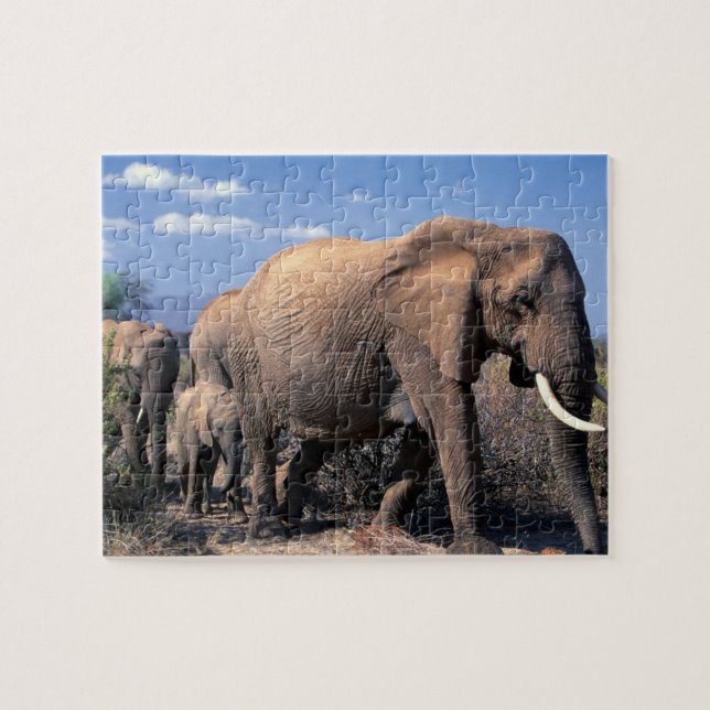 Puzzle des éléphants (Horizontal)
