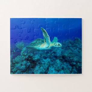 Puzzle des enfants de la tortue de mer