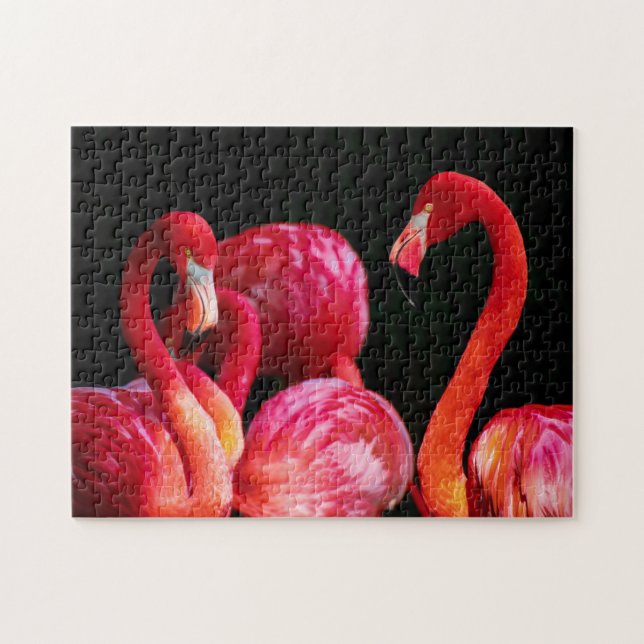 Puzzle des Flamants roses tropicaux (Horizontal)