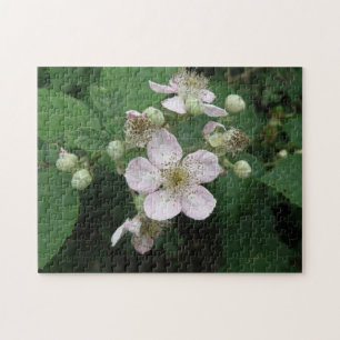 Puzzle des fleurs Blackberry