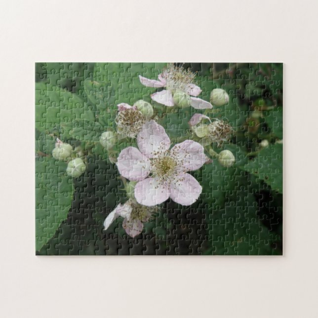 Puzzle des fleurs Blackberry (Horizontal)