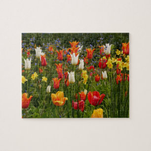 Puzzle des fleurs de printemps