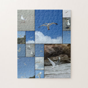 Puzzle des mouettes solitaires