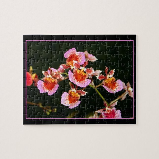Puzzle des Orchidées roses (Horizontal)