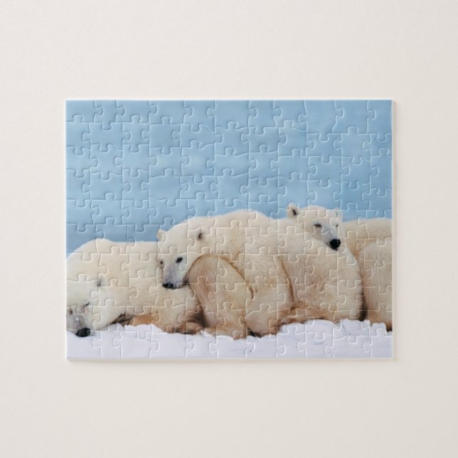 Puzzle des ours polaires (Horizontal)