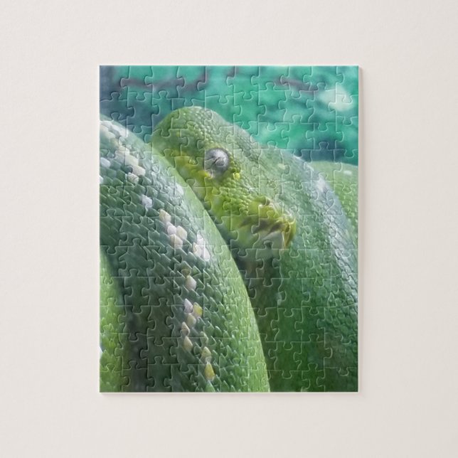 Puzzle des serpents de la forêt pluviale (Vertical)
