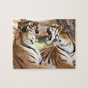 Puzzle des tigres