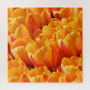 Puzzle des Tulipes orange
