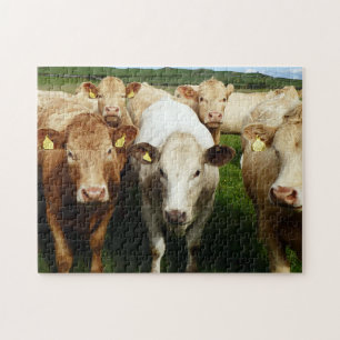 Puzzle des vaches Brown