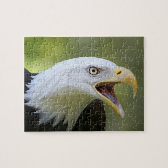 Puzzle des Weißkopfseeadlers (Horizontal)