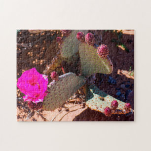 Puzzle Desert Flower Nevada.