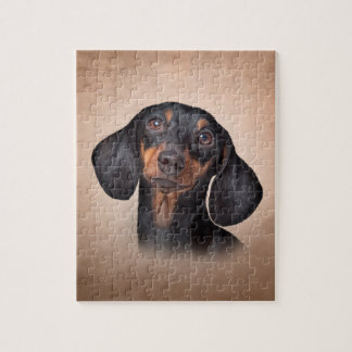 Puzzle Dessin Dachshund de race de chien