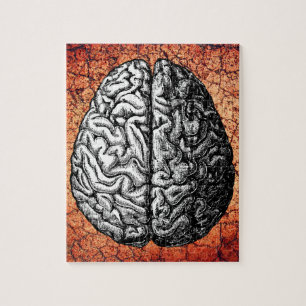 PUZZLE DESSIN VINTAGE DU CERVEAU