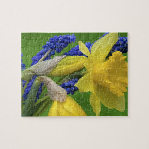 Puzzle Détail des fleurs de jonquille et de jacinthe. Cré