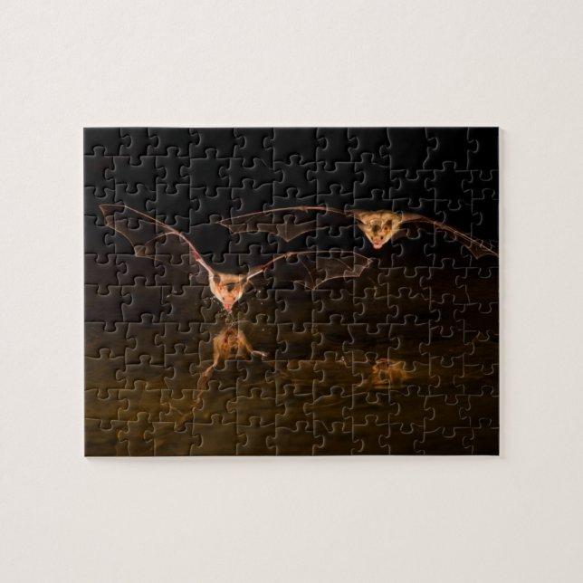 Puzzle Deux chauves-souris volant au-dessus de l'eau, Ari (Horizontal)