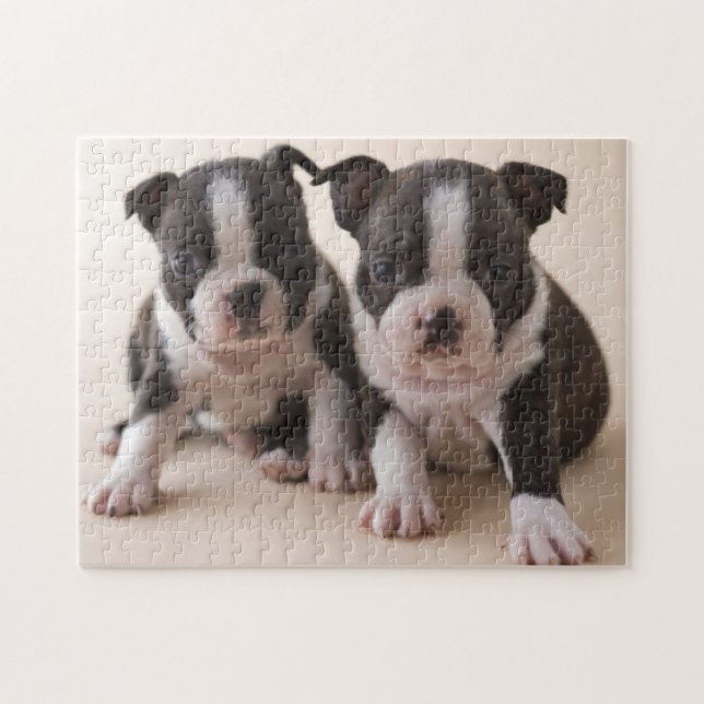 Puzzle Deux chiots de Boston Terrier (Horizontal)