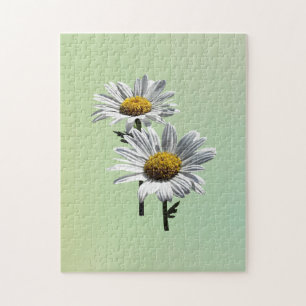 Puzzle Deux marguerites sous le soleil