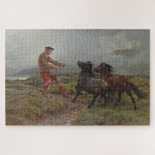 Puzzle Deux Ponies Shetland dans les Highlands d'Écosse