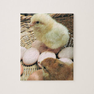 Puzzle Deux poulets de bébé dans un panier des oeufs