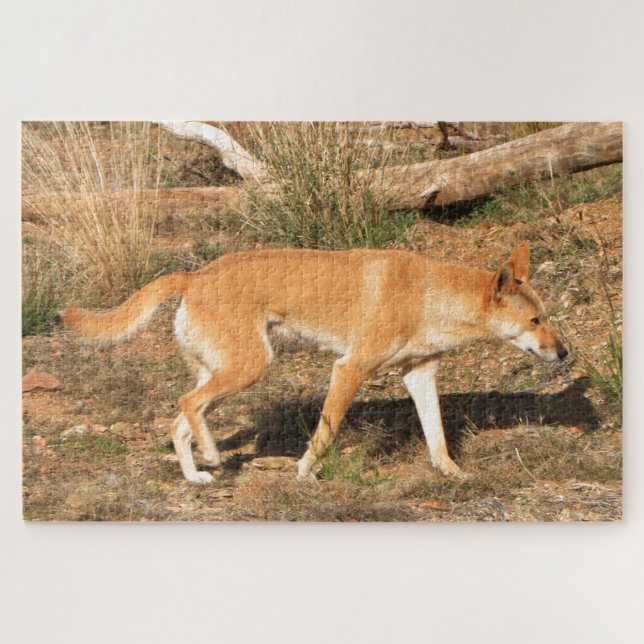 Puzzle Dingo australien (Horizontal)