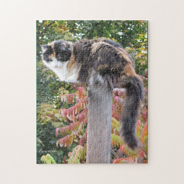 Puzzle Dissimulation des chaises de basculage (Vertical)