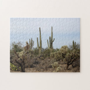 Puzzle Divers cactus