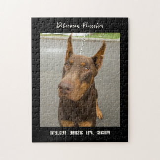Puzzle Doberman Pinscher Photo Chien de race Jigsaw Puzzl