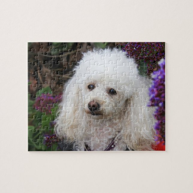 Puzzle Dog Jigsaw (Horizontal)