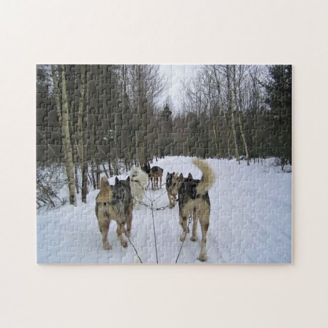 Puzzle Dog Sledding à Québec, Canada (Horizontal)